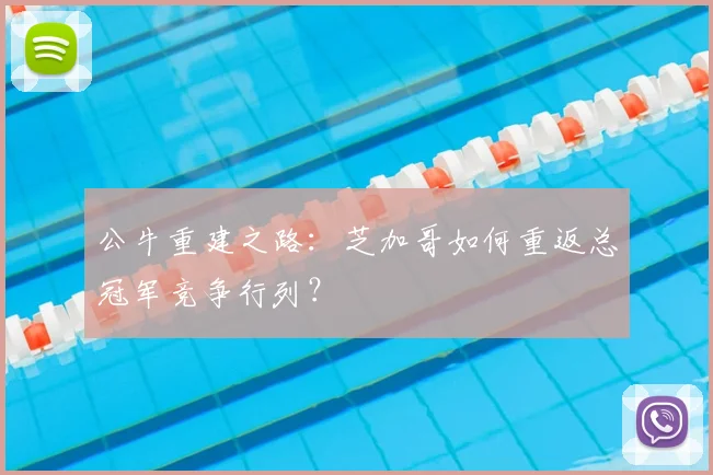 公牛重建之路：芝加哥如何重返总冠军竞争行列？
