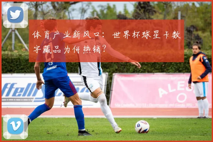 体育产业新风口:世界杯球星卡数字藏品为何热销?